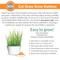 Show in main carousel: K&H Pet Products Cat Grass Grow Station Growing Cup Refills, White, 2 count slide 7 of 11