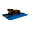 Show in main carousel: K&H Pet Products Cool Bed III Dog Pad, Blue, Large slide 1 of 13