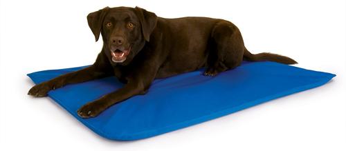 Show full view: K&H Pet Products Cool Bed III Dog Pad, Blue, Large slide 1 of 13