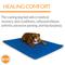 Show in main carousel: K&H Pet Products Cool Bed III Dog Pad, Blue, Medium slide 5 of 13