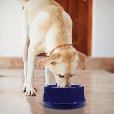 Show full view: K&H Pet Products Coolin' Bowl Plastic Dog & Cat Bowl, Blue, 96-oz slide 1 of 8