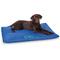 Show in main carousel: K&H Pet Products Coolin' Comfort Orthopedic Dog Bed, Large slide 1 of 12