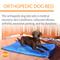 Show in main carousel: K&H Pet Products Coolin' Comfort Orthopedic Dog Bed, Large slide 5 of 12