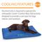 Show in main carousel: K&H Pet Products Coolin' Comfort Orthopedic Dog Bed, Large slide 6 of 12