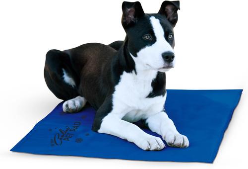 Show full view: K&H Pet Products Coolin' Dog Mat, Blue, Large slide 1 of 12