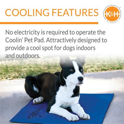 Show full view: K&H Pet Products Coolin' Dog Mat, Blue, Large slide 5 of 12