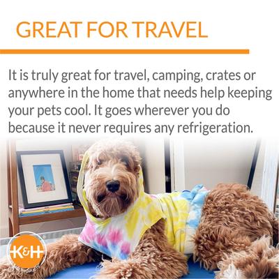 Show full view: K&H Pet Products Coolin' Dog Mat, Blue, Large slide 6 of 12