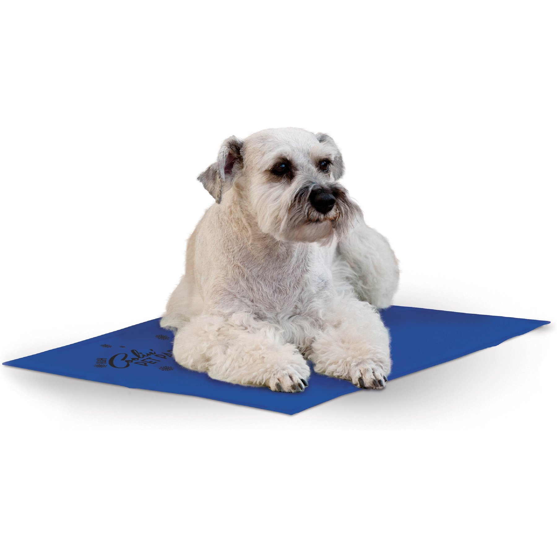 K&H Pet Products Coolin' Dog Mat, Blue, Medium