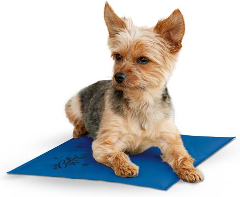 Show full view: K&H Pet Products Coolin' Dog Mat, Blue, Small slide 1 of 11