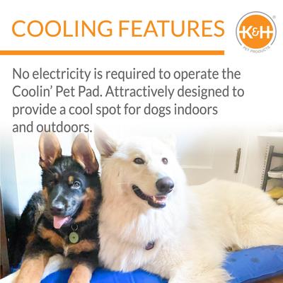 Show full view: K&H Pet Products Coolin' Dog Mat, Blue, X-Large slide 5 of 12