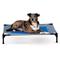 Show in main carousel: K&H Pet Products Coolin' Outdoor Elevated Cot Dog Bed, Large slide 1 of 11