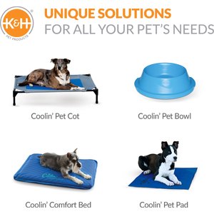 K&H Pet Products Dog Pool & Pet Bath, Blue, Large