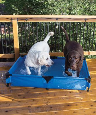 Show full view: K&H Pet Products Dog Pool & Pet Bath, Blue, X-Large slide 9 of 11