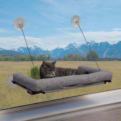 Show full view: K&H Pet Products EZ Mount Deluxe Bolstered Kitty Sill with Cat Grass Grow Station Cat Window Perch, Gray slide 1 of 11