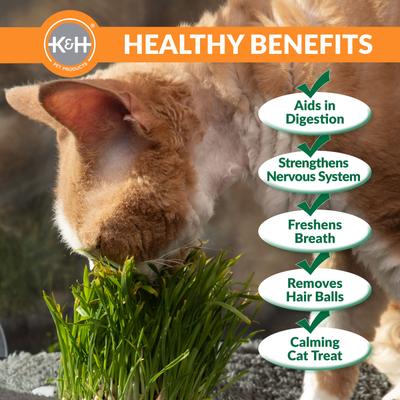 Show full view: K&H Pet Products EZ Mount Deluxe Bolstered Kitty Sill with Cat Grass Grow Station Cat Window Perch, Gray slide 4 of 11