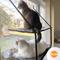 Show in main carousel: K&H Pet Products EZ Mount Double Stack Kitty Sill Cat Window Perch, Gray slide 7 of 11