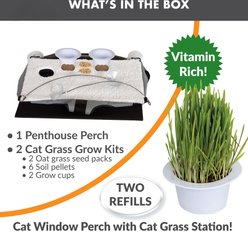 K&H Pet Products EZ Mount Penthouse Cat Window Perch with Cat Grass Grow Station, Gray/Black slide 2 of 9