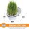 Show in main carousel: K&H Pet Products EZ Mount Window Cat Grass Grow Station, White slide 5 of 13