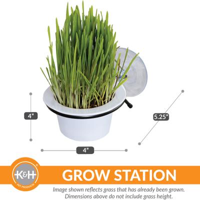 Show full view: K&H Pet Products EZ Mount Window Cat Grass Grow Station, White slide 5 of 13
