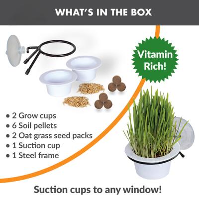 Show full view: K&H Pet Products EZ Mount Window Cat Grass Grow Station, White slide 7 of 13