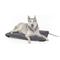 Show in main carousel: K&H Pet Products Lectro-Soft Outdoor Heated Pad, Gray, Large slide 1 of 13