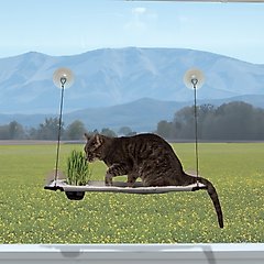 K&H Pet Products Lounger with Cat Grass Grow Station Single Level Cat Window Perch, Natural