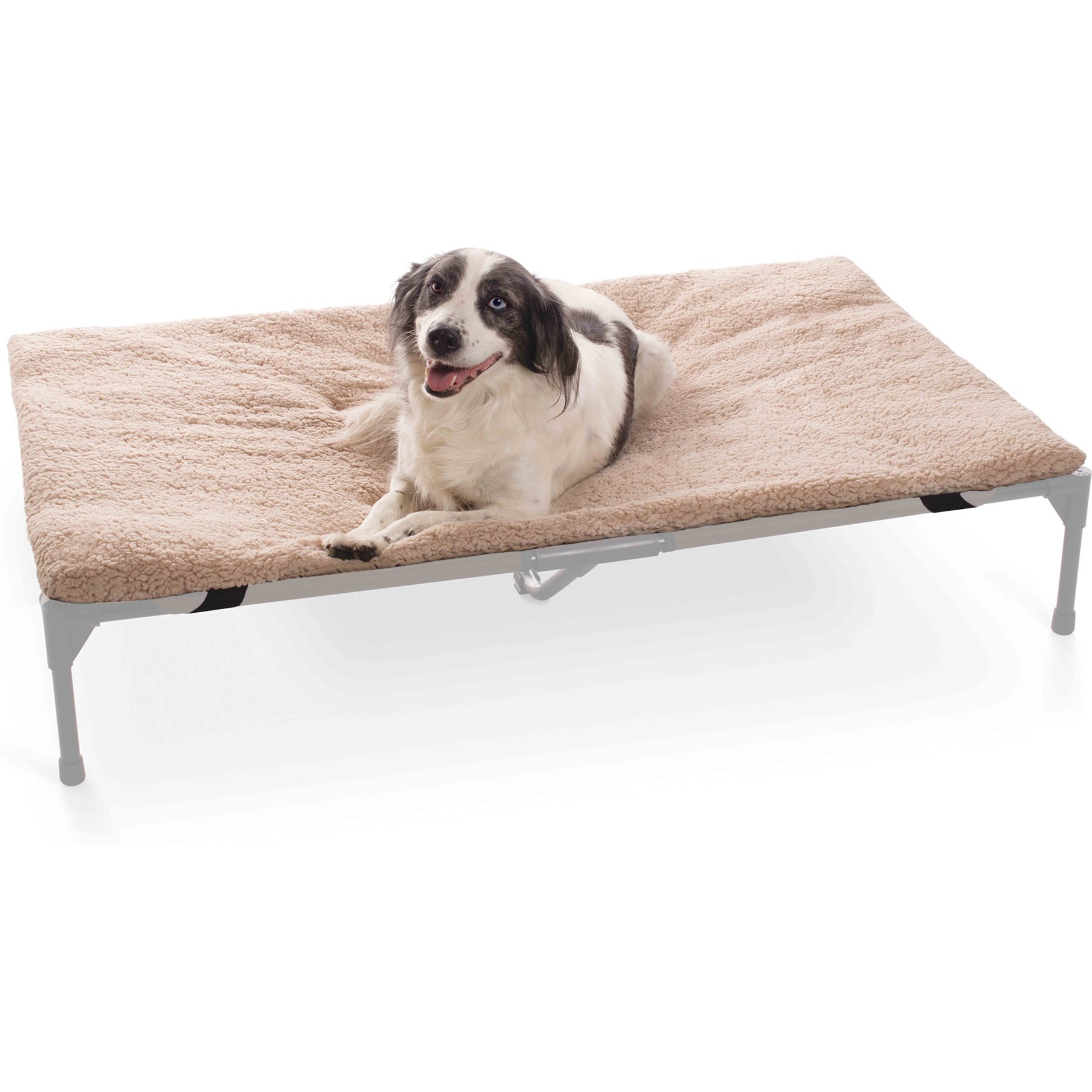Sale chewy dog cot Store