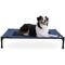 Show in main carousel: K&H Pet Products Original Steel Frame Cot Outdoor Elevated Dog Bed, Blue/Black, Large slide 2 of 13