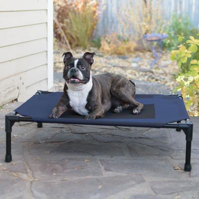 Show full view: K&H Pet Products Original Steel Frame Cot Outdoor Elevated Dog Bed, Blue/Black, Medium slide 1 of 14