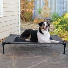 Costway 36 Portable Elevated Dog Cot With Removable Canopy Shade - Gray - View #3