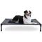 Show in main carousel: K&H Pet Products Original Steel Frame Cot Outdoor Elevated Dog Bed, Charcoal/Black, Large slide 2 of 13