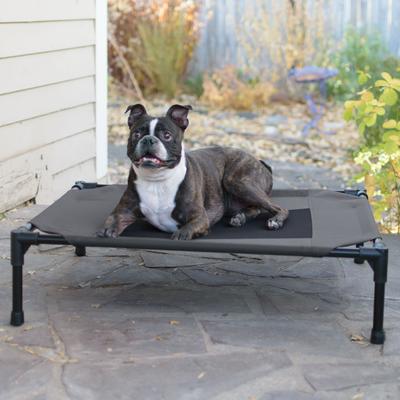 Show full view: K&H Pet Products Original Steel Frame Cot Outdoor Elevated Dog Bed, Charcoal/Black, Medium slide 1 of 13