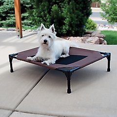 K&H Pet Products Original Steel Frame Pet Cot Elevated Dog Bed, Chocolate, Small