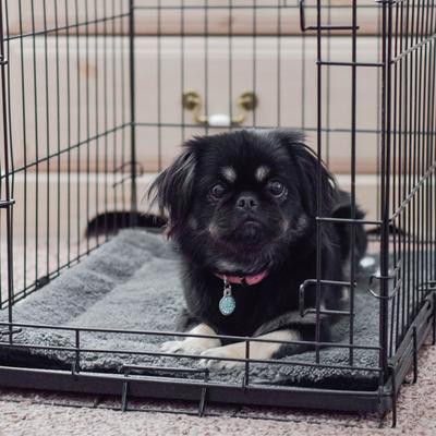 Show full view: K&H Pet Products Self-Warming Pad, Gray/Black slide 7 of 12