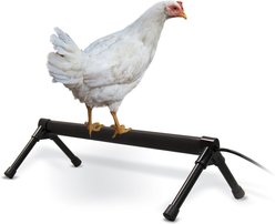 K&H Pet Products Thermo Chicken Perch, Black, Small