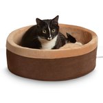 Best Orthopedic Cat Beds