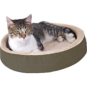 A&E Cage Company Wooden Small Pet Platform