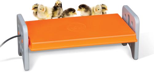 Show full view: K&H Pet Products Thermo-Poultry Brooder slide 1 of 9