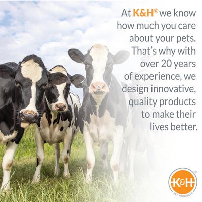 Show full view: K&H Pet Products Ultimate Stock Tank Deicer, 500 watt slide 9 of 11