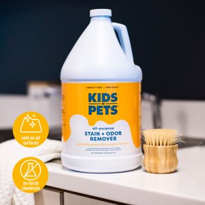 KIDS 'N' PETS Instant All Purpose Stain & Odor Remover, 1-gal