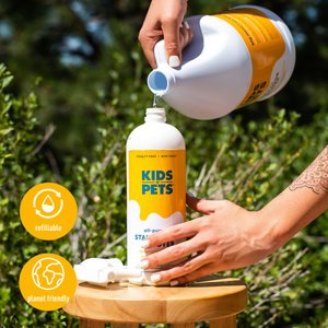 KIDS 'N' PETS Instant All Purpose Stain & Odor Remover, 1-gal