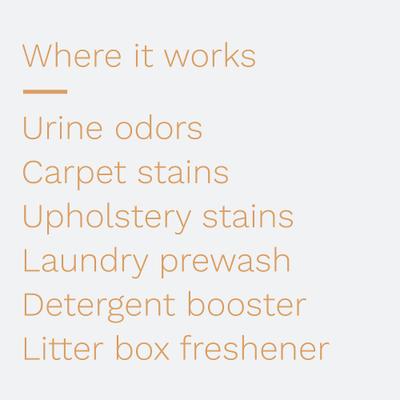 Show full view: KIDS 'N' PETS Instant All Purpose Stain & Odor Remover, 1-gal slide 9 of 12