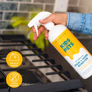 KIDS 'N' PETS Instant All Purpose Stain & Odor Remover, 27-fl oz