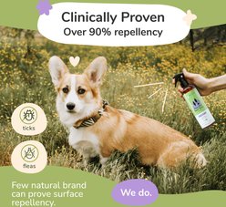 kin+kind Flea+Tick Lavander Repel Spray for Dogs, 12-fl oz bottle slide 2 of 8