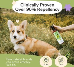 kin+kind Flea+Tick Lemongrass Spray & Shampoo Maximum Protection Set for Dogs & Cats, 12-fl oz bottle slide 2 of 8