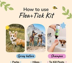 kin+kind Flea+Tick Lemongrass Spray & Shampoo Maximum Protection Set for Dogs & Cats, 12-fl oz bottle slide 2 of 9