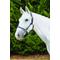 Show in main carousel: Kincade Leather Rope Horse Headcollar, Navy/Brown, Warmblood slide 1 of 2