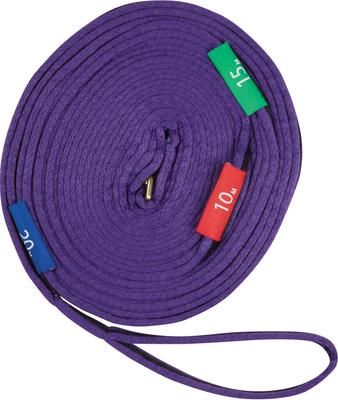 Show full view: Kincade Two Tone Horse Lunge Line & Circle Marker, 36-ft, Purple/Black slide 1 of 1