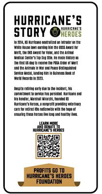 Show full view: Kinetic Hurricane Bites Beef Flavor Dog Chew Treats, 12-oz bag slide 4 of 5