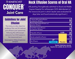 KineticVet Conquer Joint Liquid Horse Supplement, 64-fl oz bottle slide 2 of 4